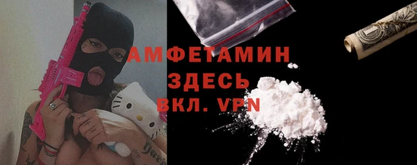 метадон Алексин
