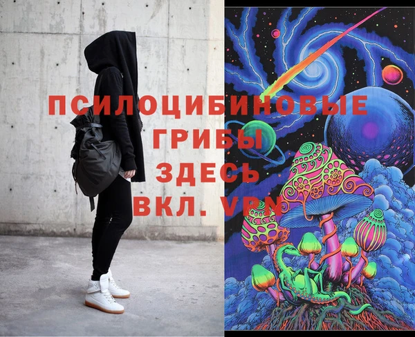 метадон Алексин