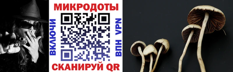 Псилоцибиновые грибы Cubensis где можно купить наркотик Евпатория